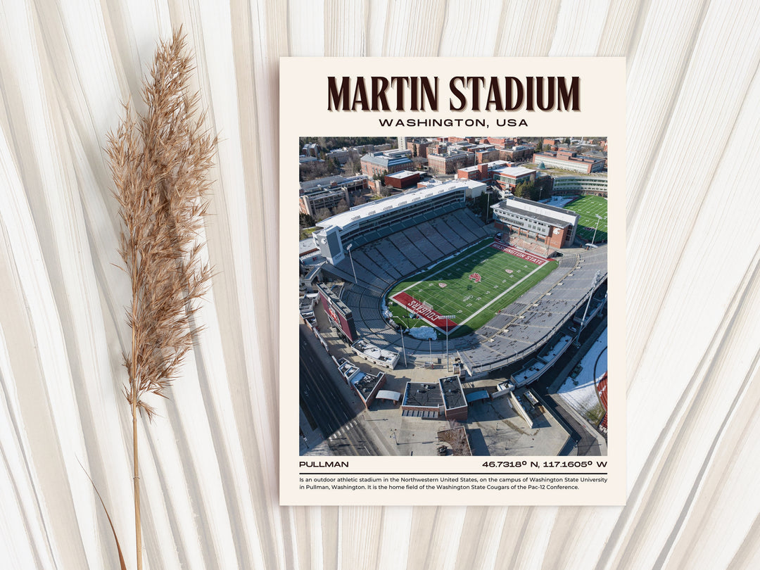 Martin Stadium Football Retro Wall Art