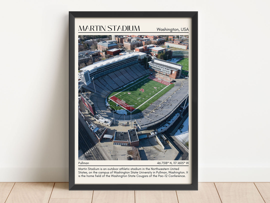 Martin Stadium Football Minimal Wall Art