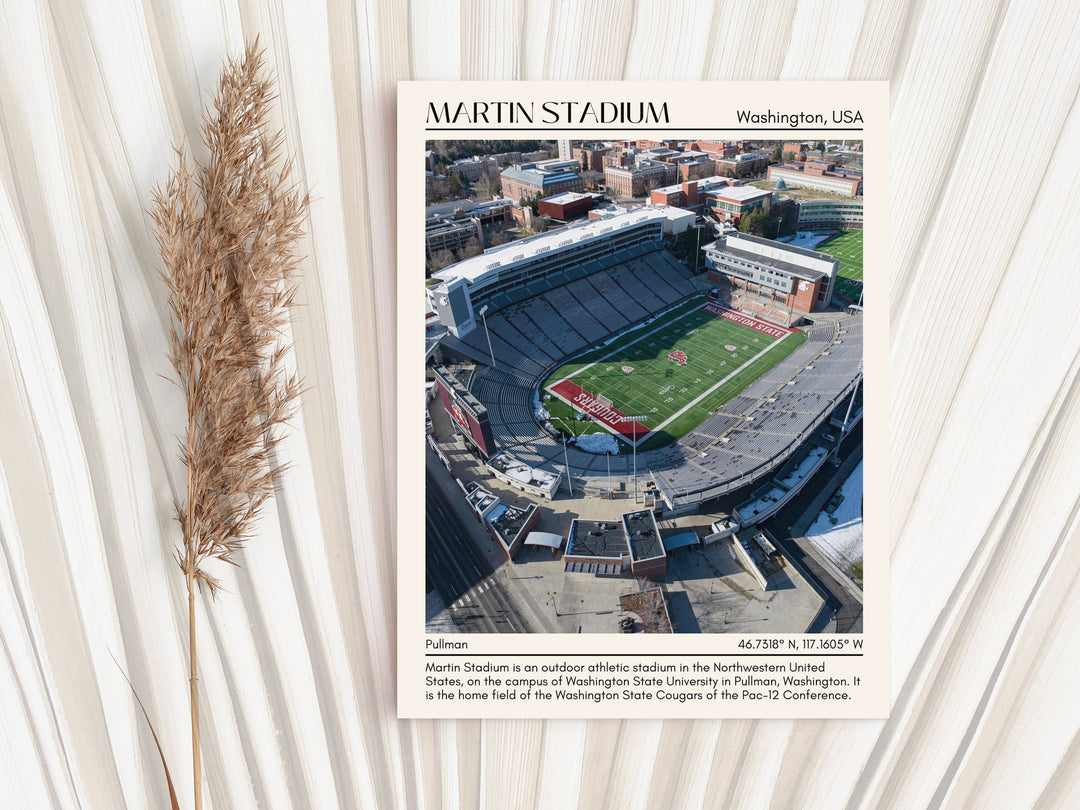 Martin Stadium Football Minimal Wall Art