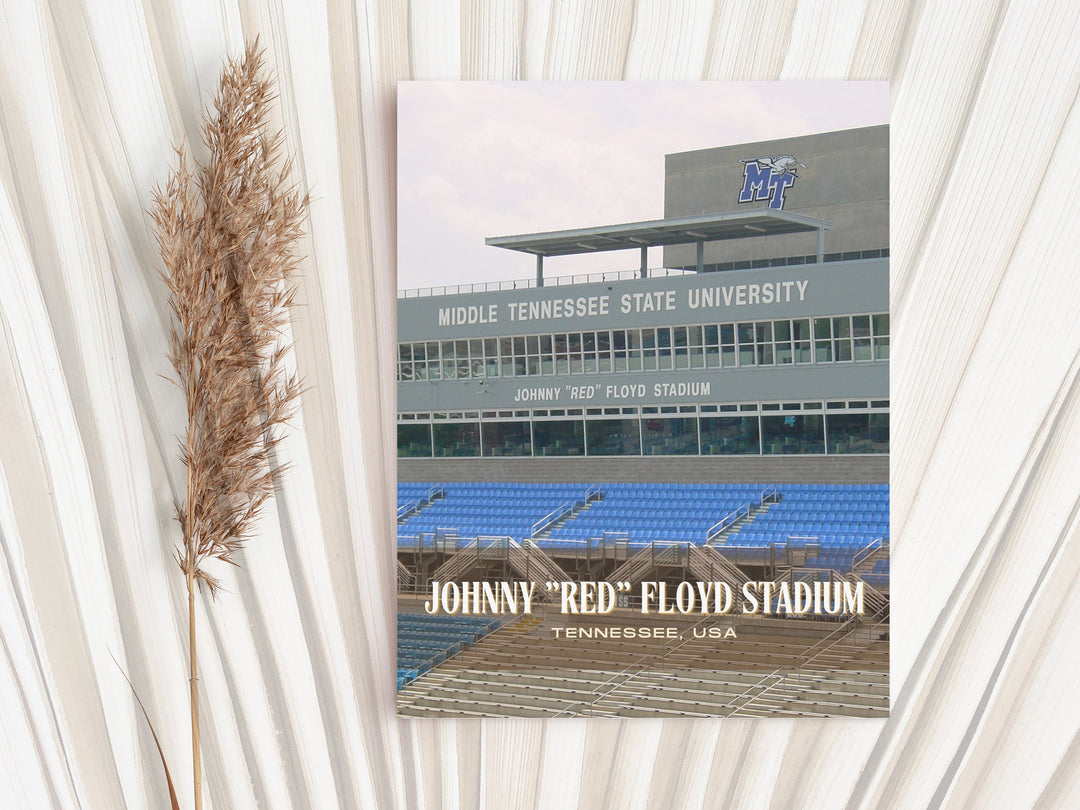 Johnny "Red" Floyd Stadium Football Wall Art