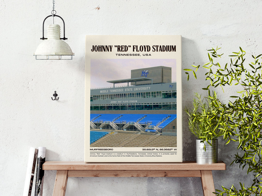 Johnny "Red" Floyd Stadium Football Retro Wall Art