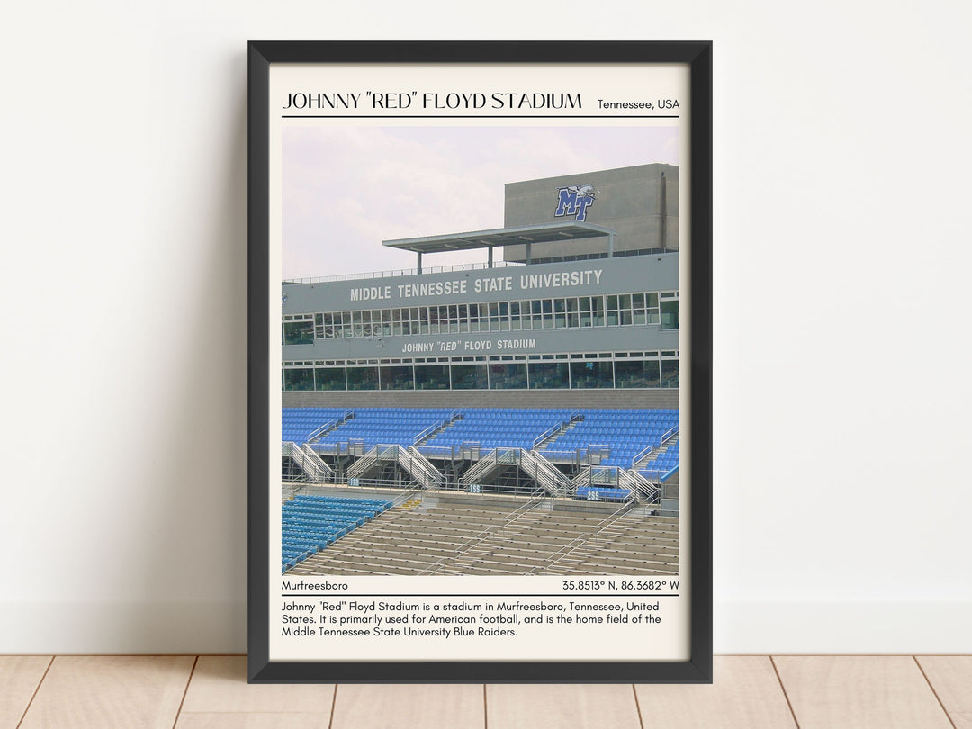 Johnny "Red" Floyd Stadium Football Minimal Wall Art