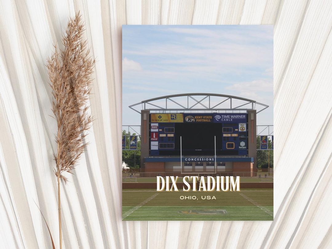 Dix Stadium Football  Wall Art