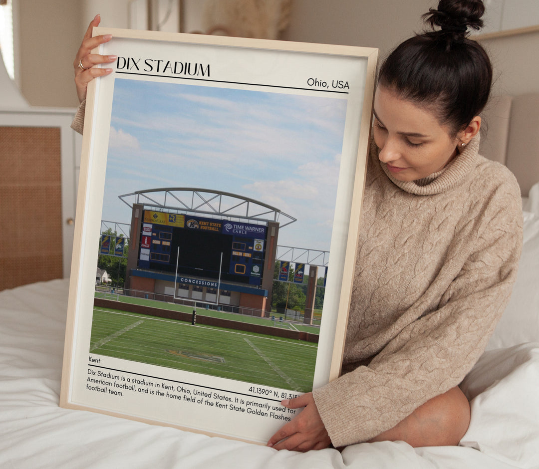 Dix Stadium Football Minimal  Wall Art