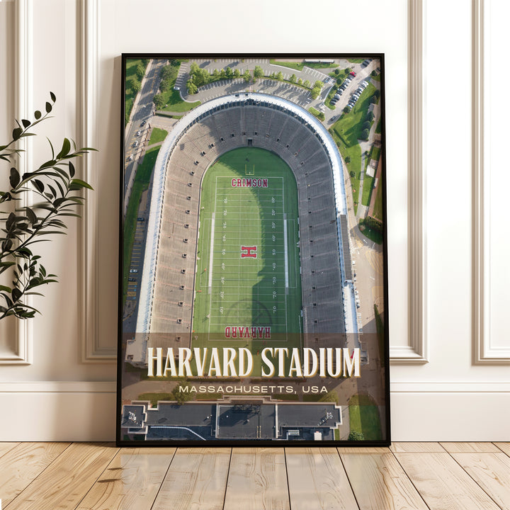 Harvard Stadium Football  Wall Art