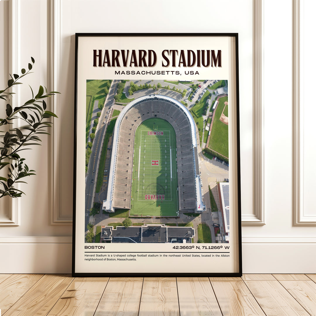 Harvard Stadium Football Retro Wall Art