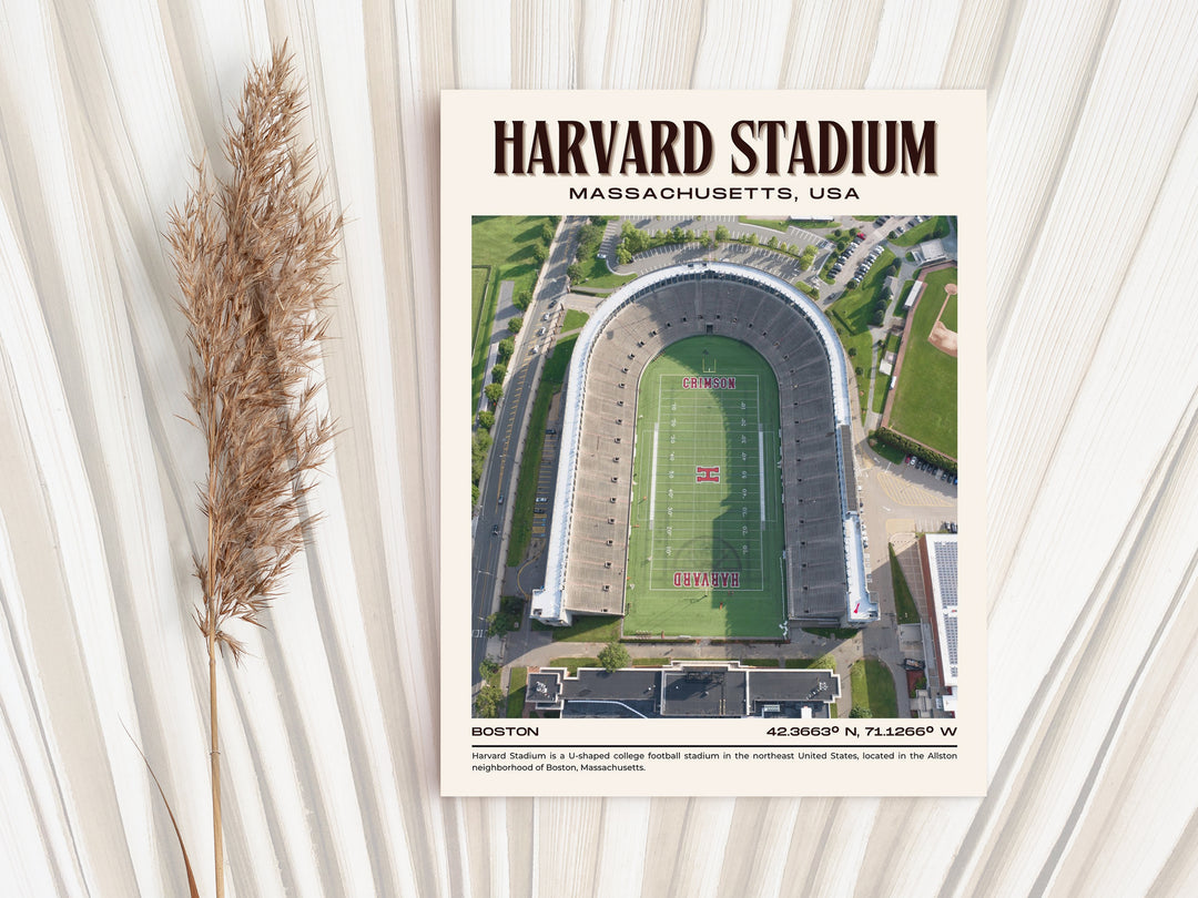 Harvard Stadium Football Retro Wall Art