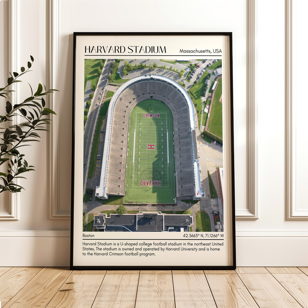 Harvard Stadium Football Minimal  Wall Art