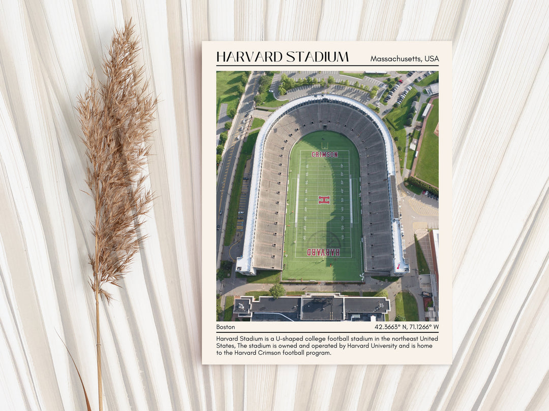 Harvard Stadium Football Minimal  Wall Art