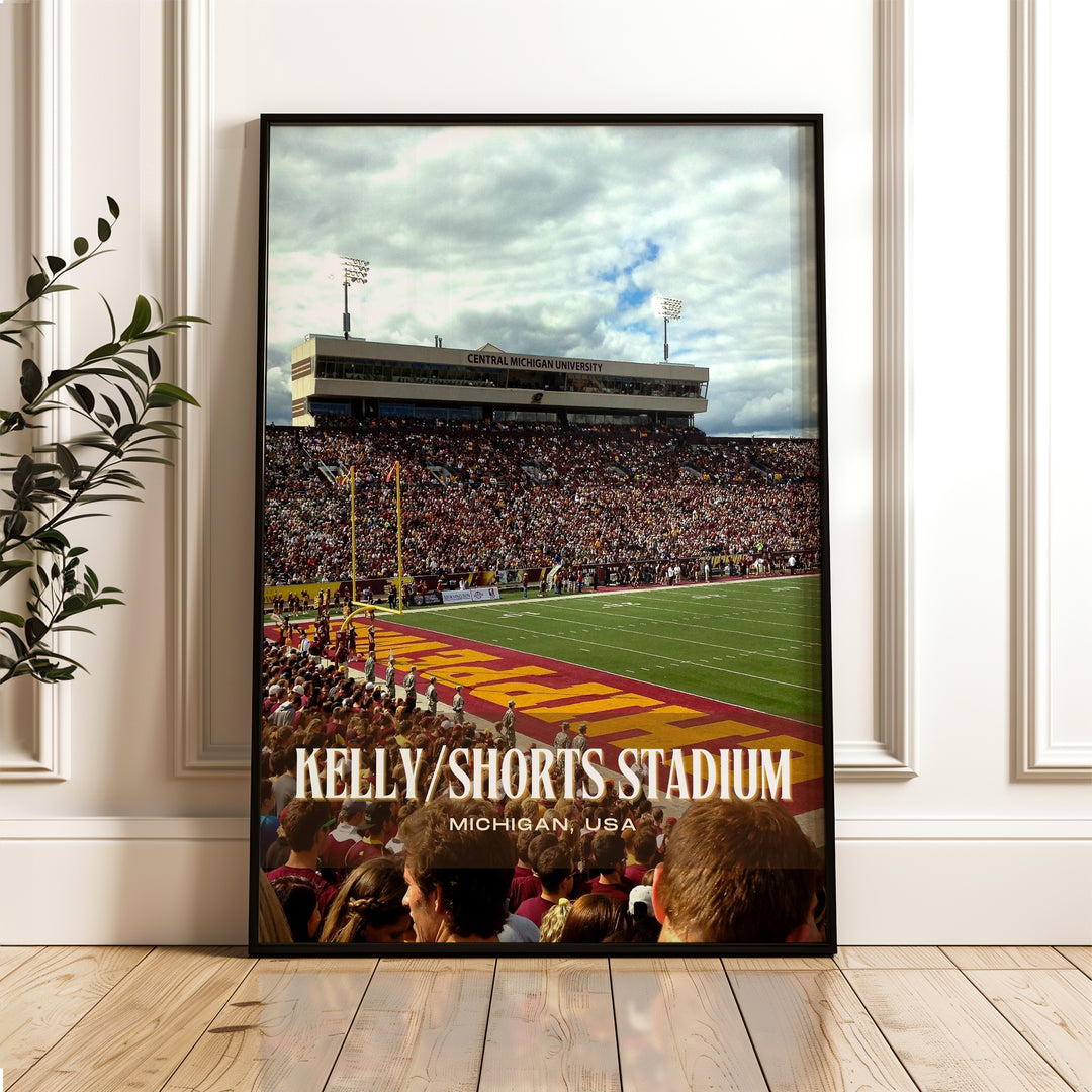 Kelly/Shorts Stadium Football  Wall Art