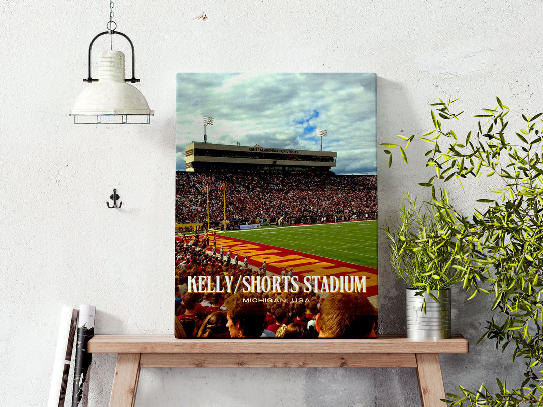 Kelly/Shorts Stadium Football  Wall Art