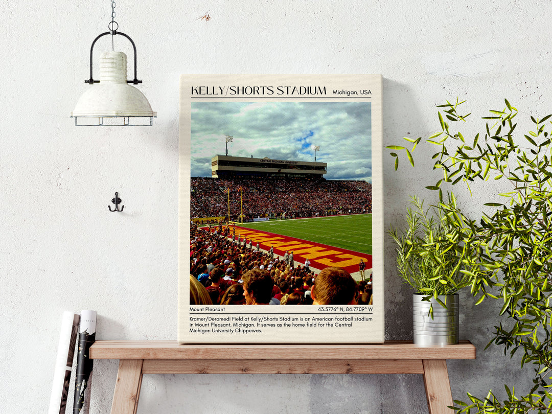 Kelly/Shorts Stadium Football Minimal Wall Art