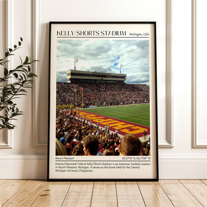 Kelly/Shorts Stadium Football Minimal Wall Art