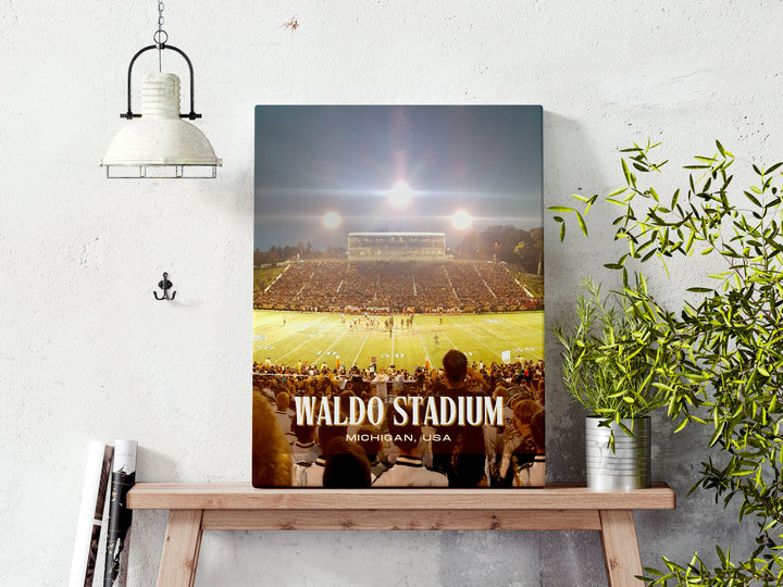 Waldo Stadium Football  Wall Art