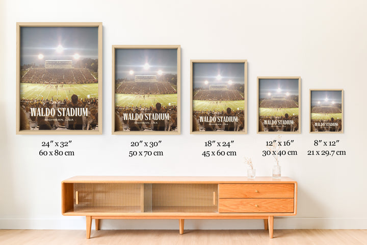 Waldo Stadium Football  Wall Art