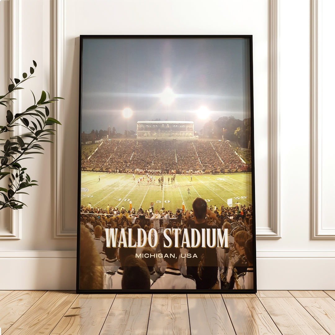 Waldo Stadium Football  Wall Art