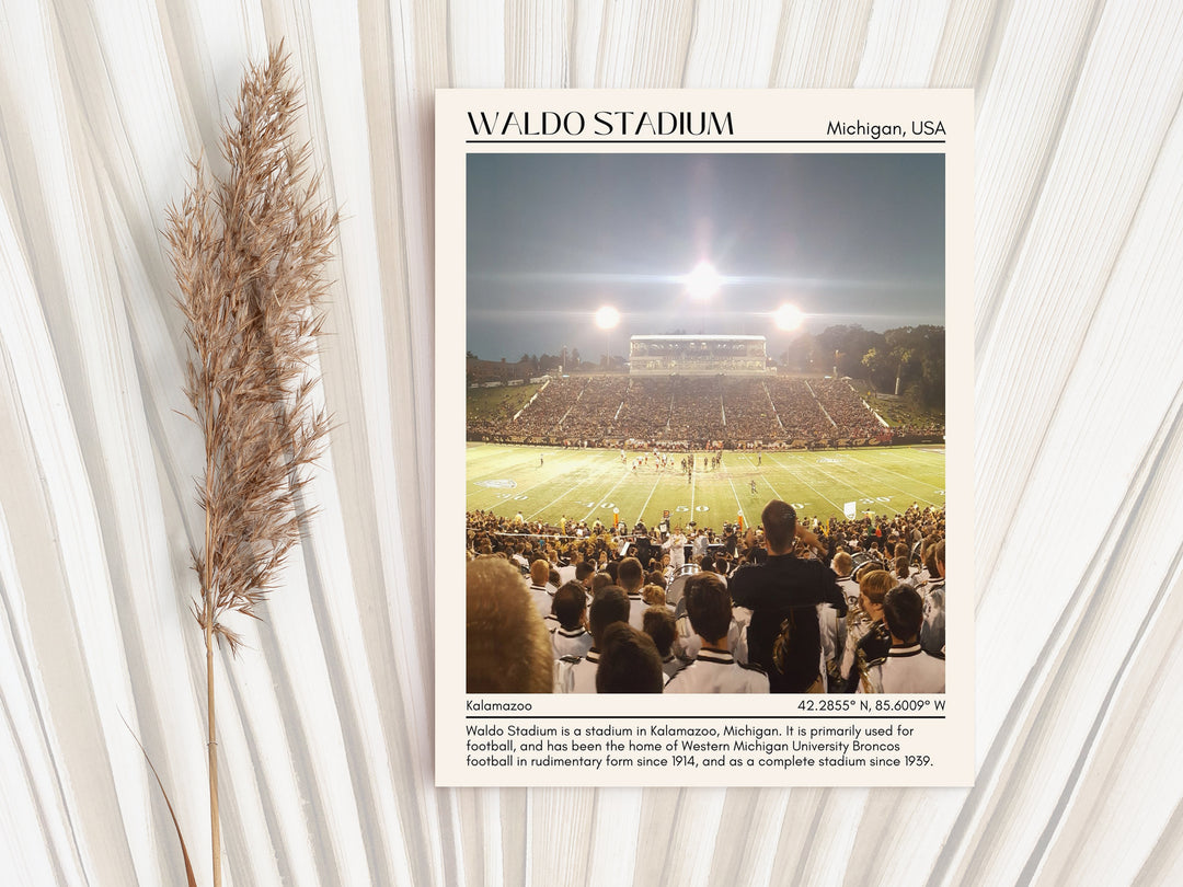 Waldo Stadium Football  Minimal Wall Art