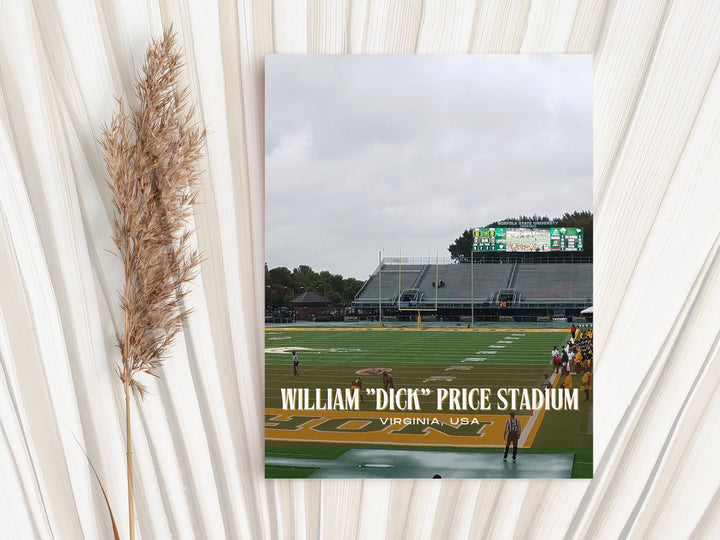 William "Dick" Price Stadium Football Wall Art