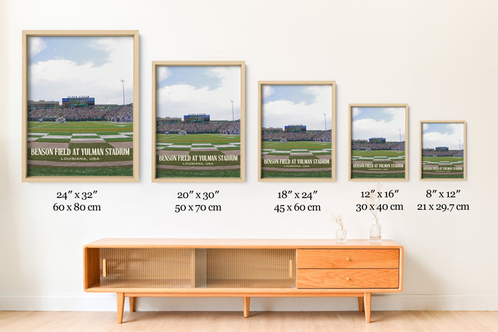 Benson Field at Yulman Stadium Football Wall Art