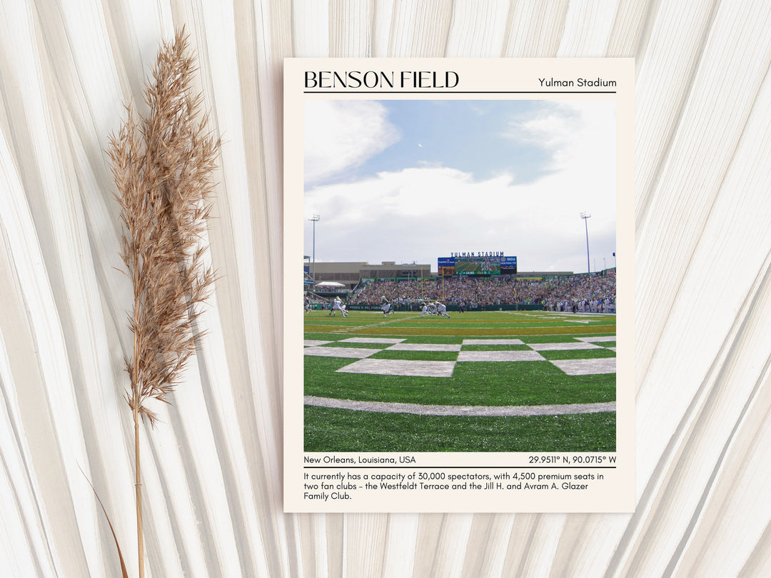 Benson Field at Yulman Stadium Football Minimal Wall Art