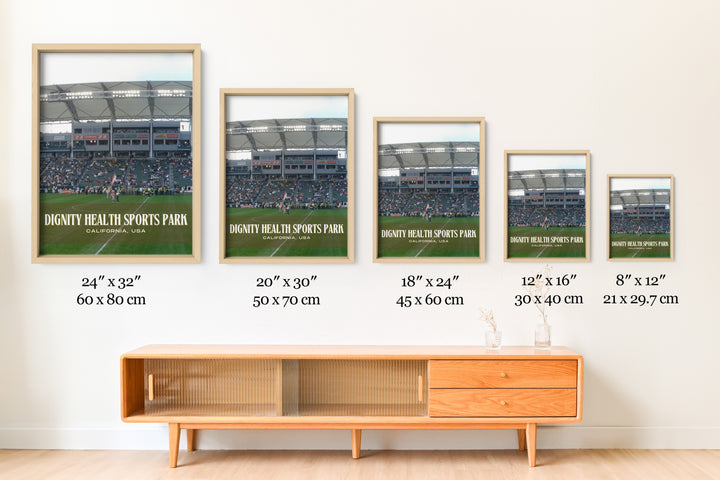 Dignity Health Sports Park Football Wall Art