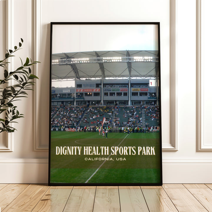 Dignity Health Sports Park Football Wall Art