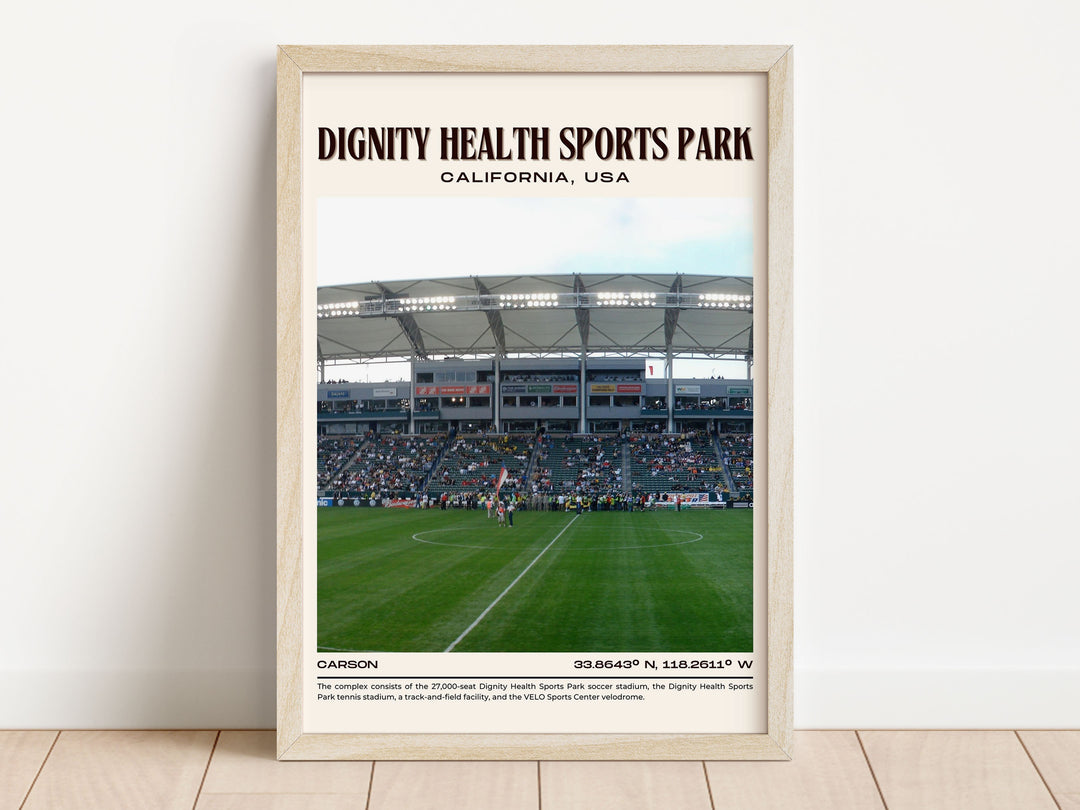 Dignity Health Sports Park Football Retro Wall Art