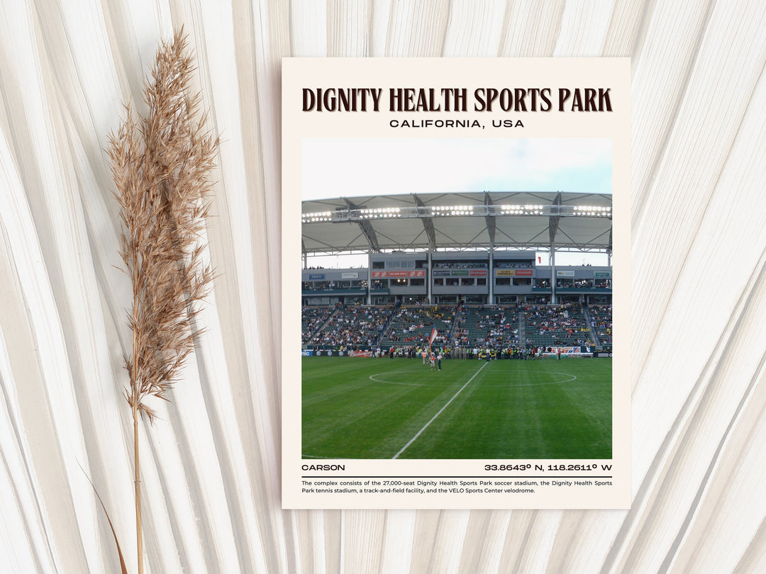 Dignity Health Sports Park Football Retro Wall Art