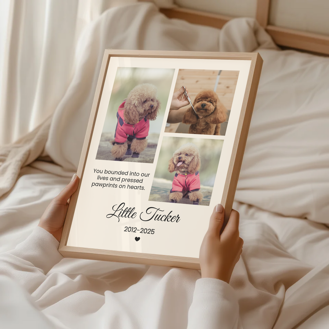 Personalized Pet Photo, Pet Memorial, Personalized Gifts for Pet Loss, Sympathy Gift, Custom pet print, Pet Lover Gift, Home Gift TW5. UM