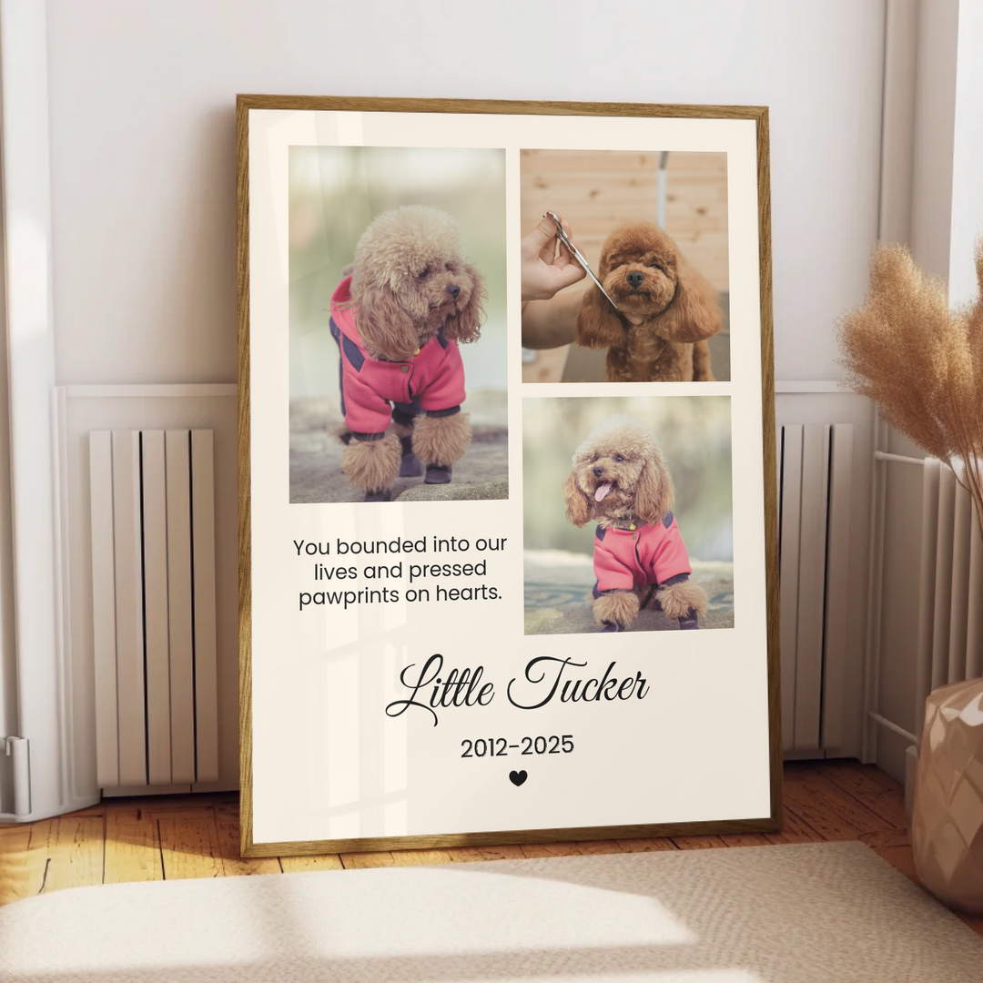 Personalized Pet Photo, Pet Memorial, Personalized Gifts for Pet Loss, Sympathy Gift, Custom pet print, Pet Lover Gift, Home Gift TW5. UM