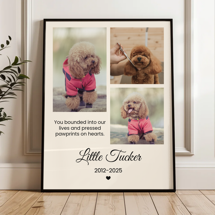Personalized Pet Photo, Pet Memorial, Personalized Gifts for Pet Loss, Sympathy Gift, Custom pet print, Pet Lover Gift, Home Gift TW5. UM