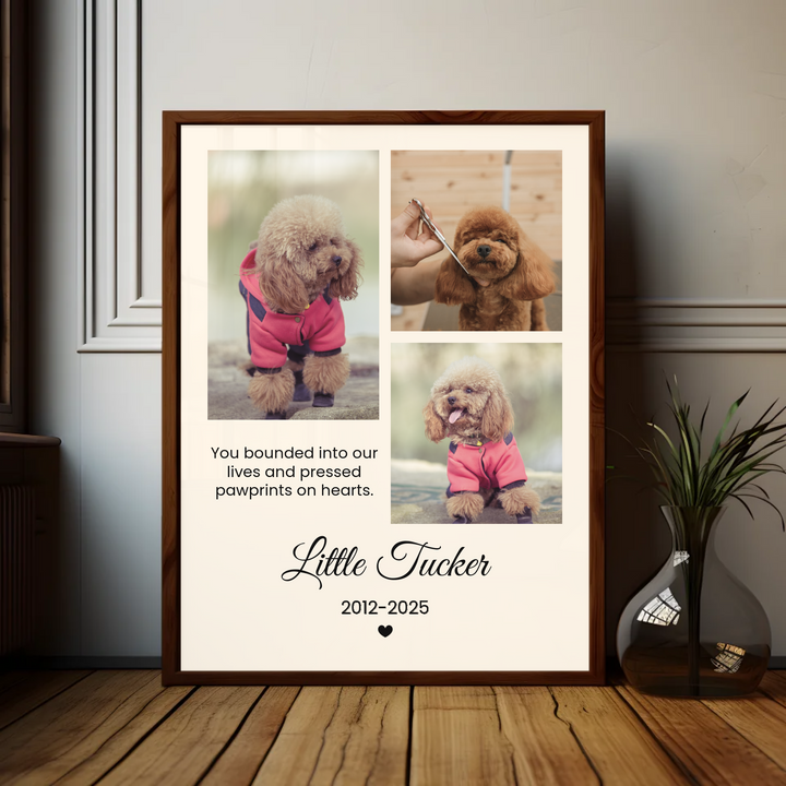 Personalized Pet Photo, Pet Memorial, Personalized Gifts for Pet Loss, Sympathy Gift, Custom pet print, Pet Lover Gift, Home Gift TW5. UM