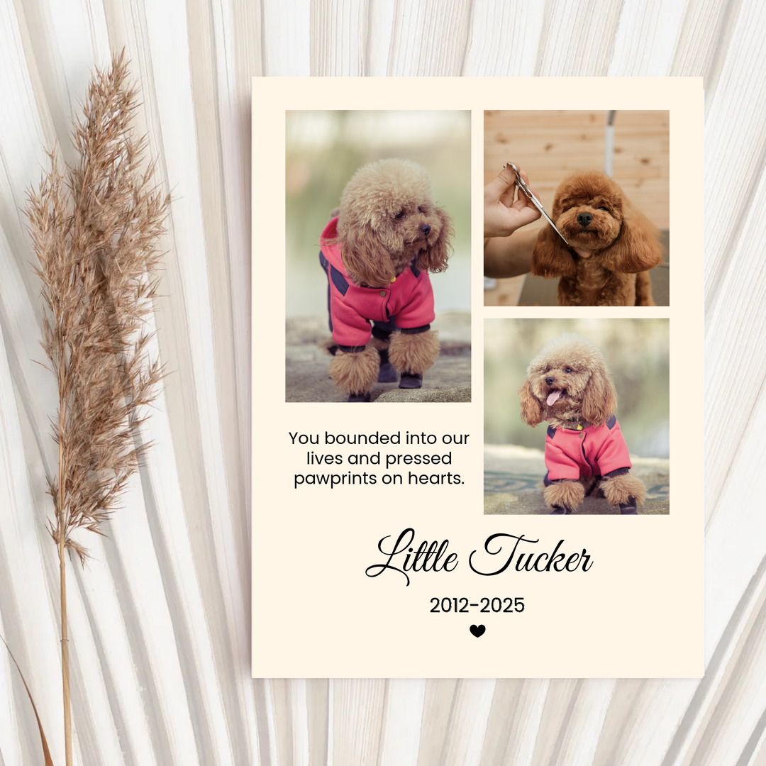 Personalized Pet Photo, Pet Memorial, Personalized Gifts for Pet Loss, Sympathy Gift, Custom pet print, Pet Lover Gift, Home Gift TW5. UM