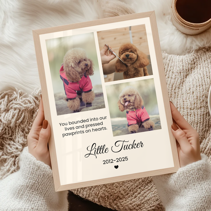 Personalized Pet Photo, Pet Memorial, Personalized Gifts for Pet Loss, Sympathy Gift, Custom pet print, Pet Lover Gift, Home Gift TW5. UM