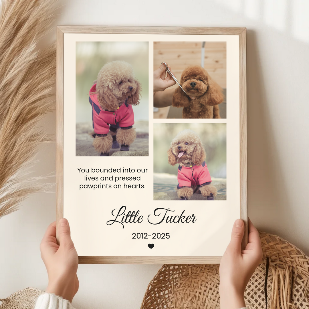 Personalized Pet Photo, Pet Memorial, Personalized Gifts for Pet Loss, Sympathy Gift, Custom pet print, Pet Lover Gift, Home Gift TW5. UM