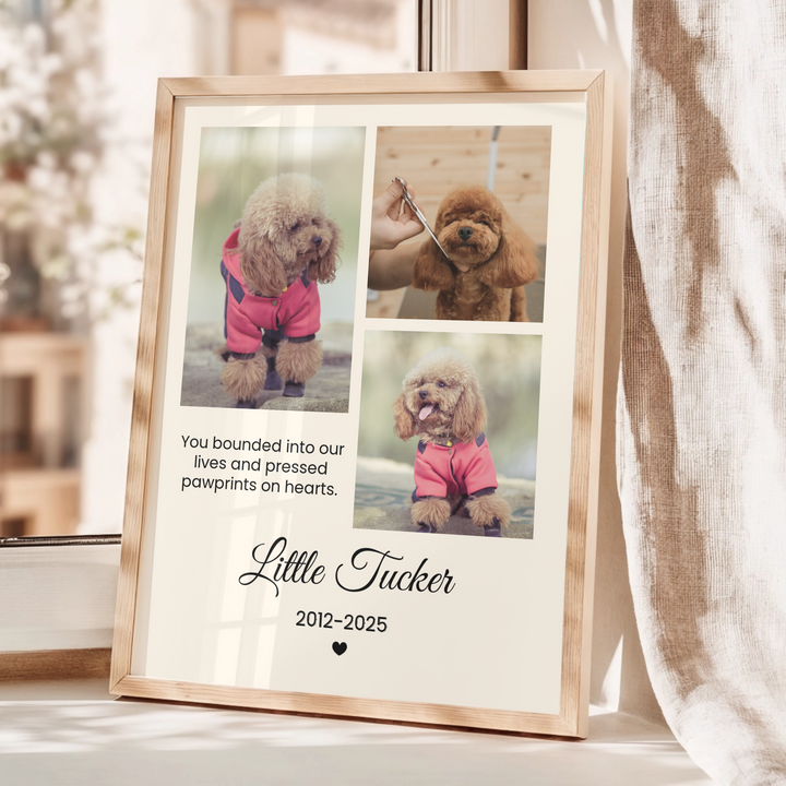 Personalized Pet Photo, Pet Memorial, Personalized Gifts for Pet Loss, Sympathy Gift, Custom pet print, Pet Lover Gift, Home Gift TW5. UM