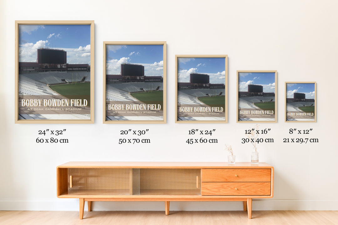 Doak Campbell Stadium Football Wall Art