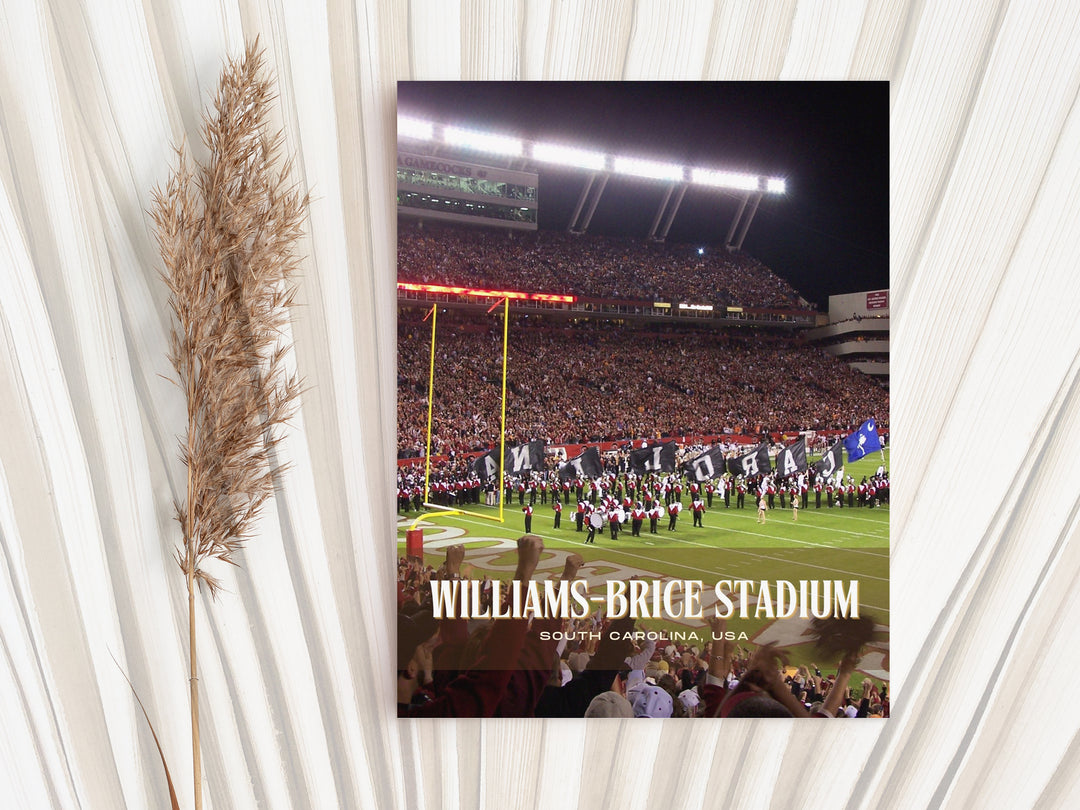 Williams-Brice Stadium Football Wall Art