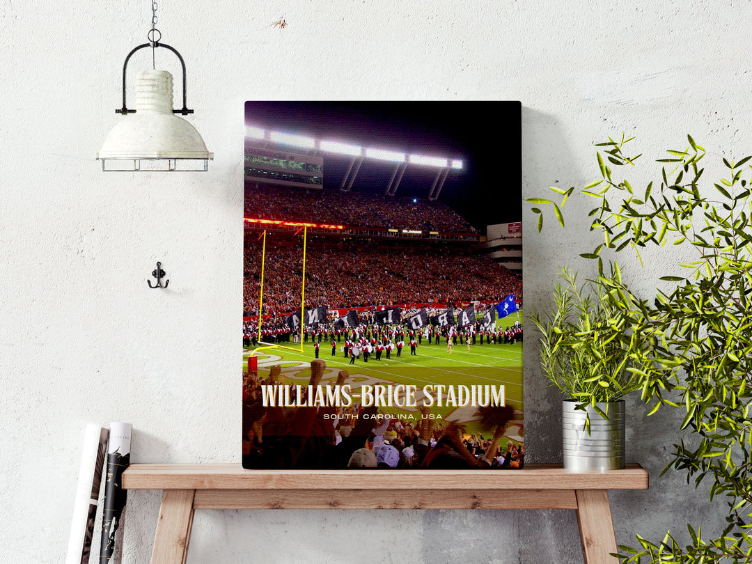 Williams-Brice Stadium Football Wall Art