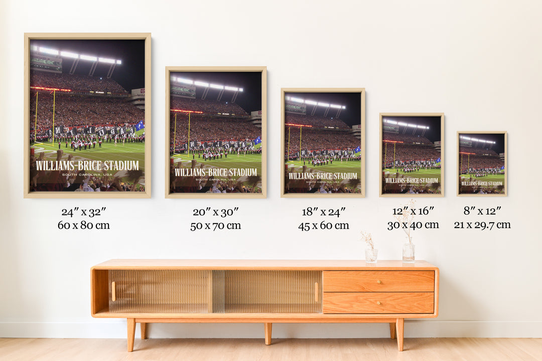 Williams-Brice Stadium Football Wall Art