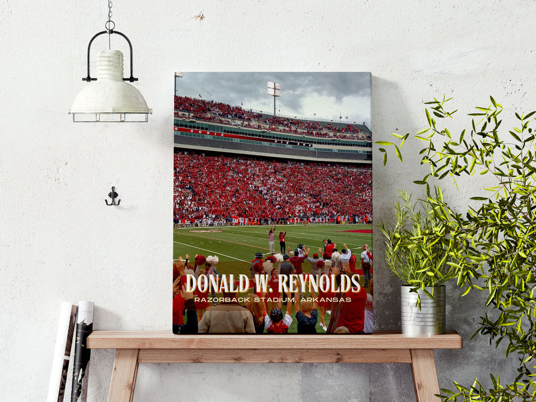 Donald W. Reynolds Razorback Stadium Football Wall Art