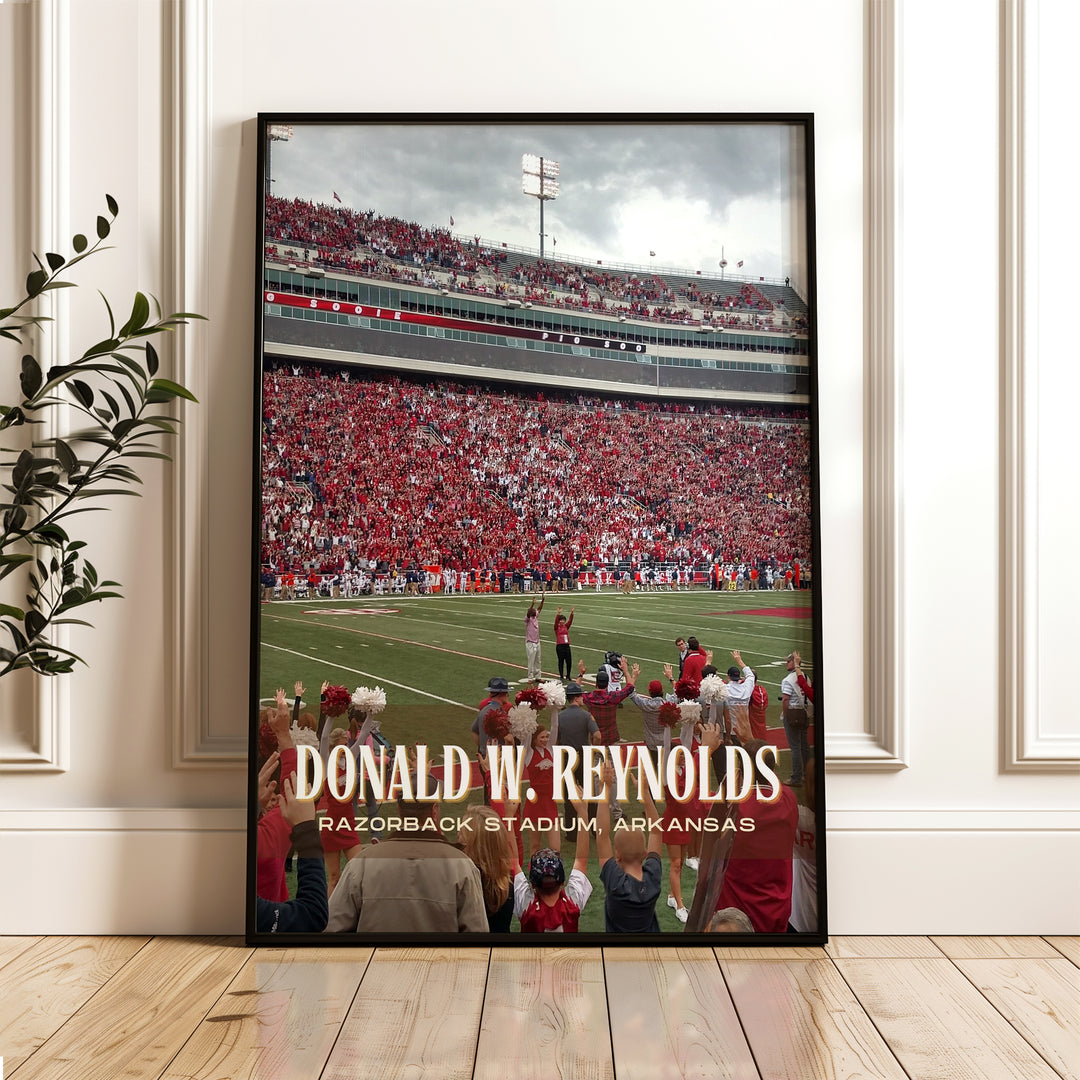 Donald W. Reynolds Razorback Stadium Football Wall Art