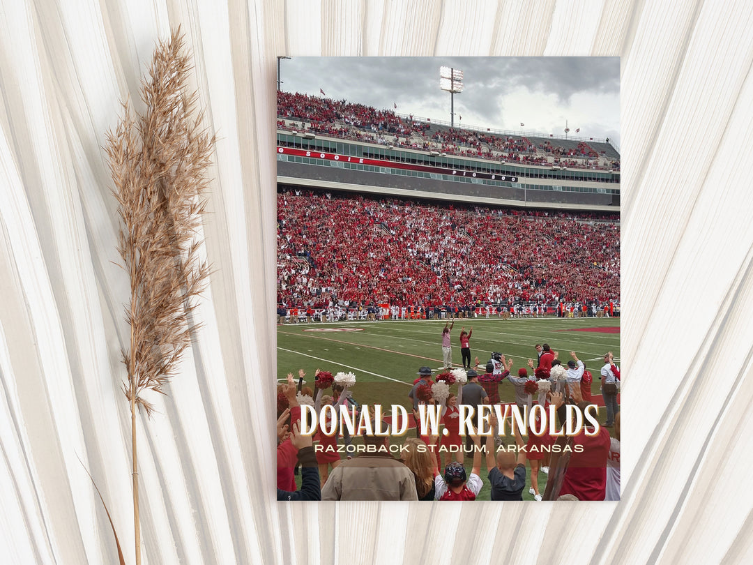 Donald W. Reynolds Razorback Stadium Football Wall Art