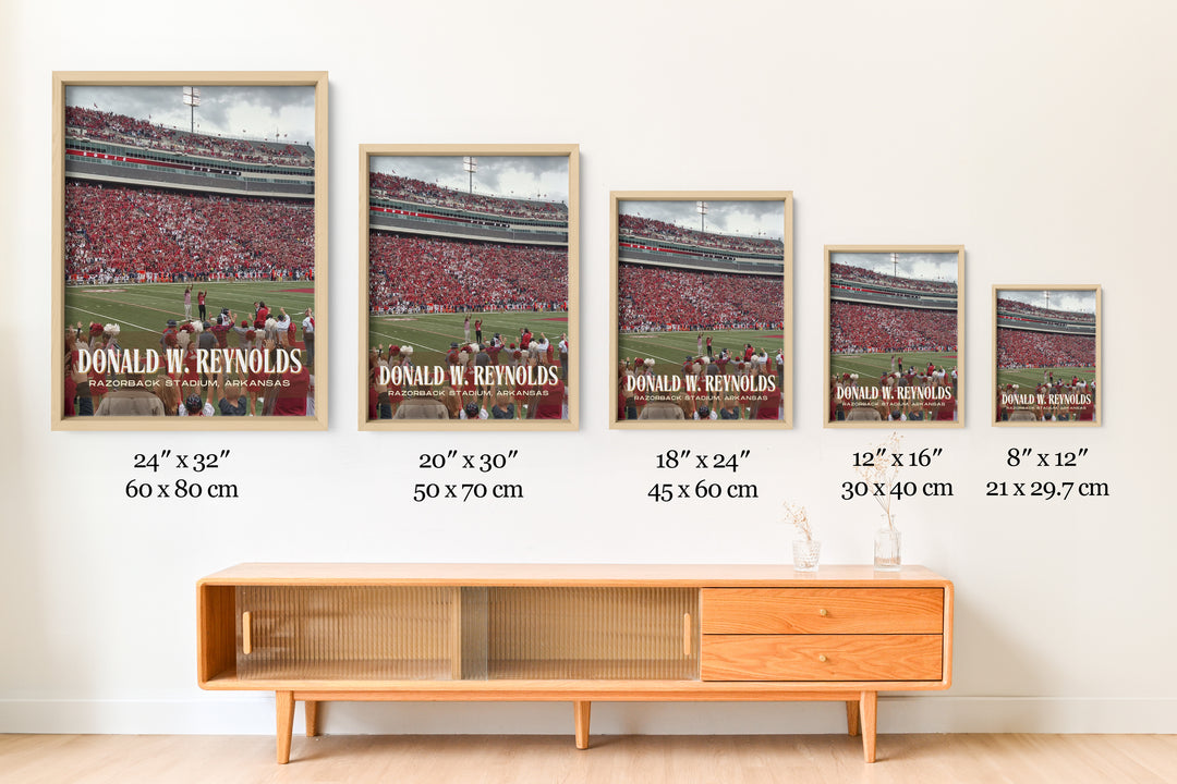 Donald W. Reynolds Razorback Stadium Football Wall Art