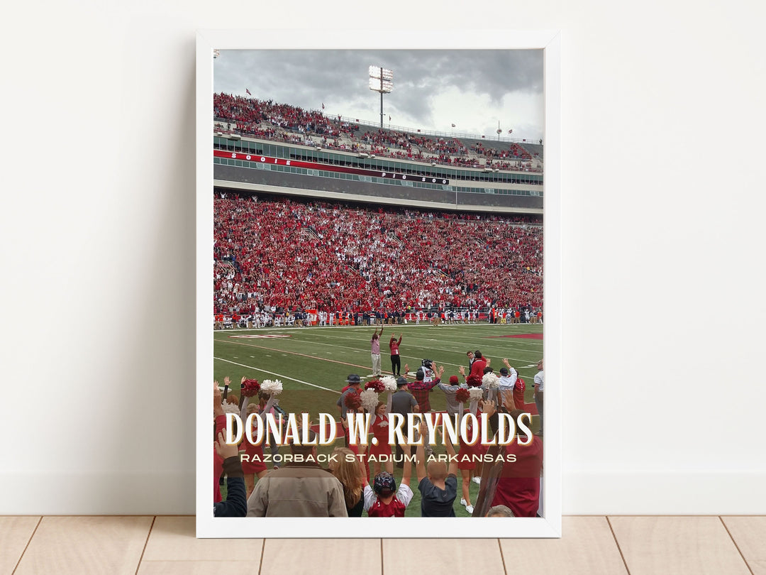 Donald W. Reynolds Razorback Stadium Football Wall Art