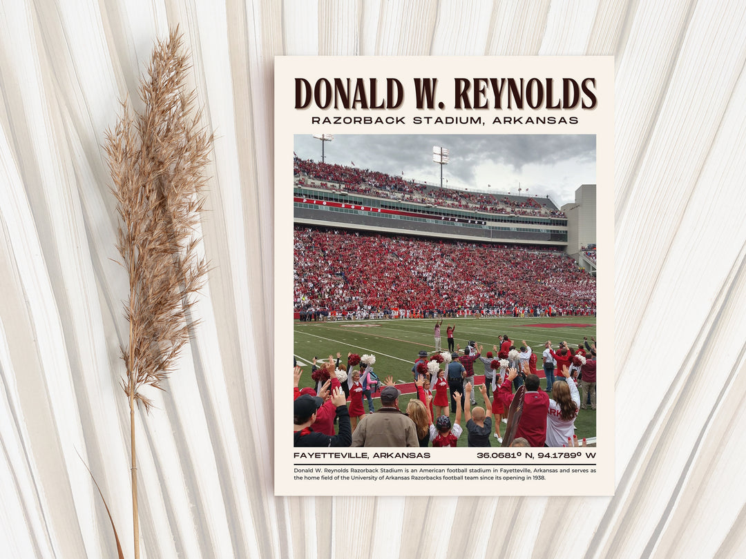 Donald W. Reynolds Razorback Stadium Football Retro Wall Art