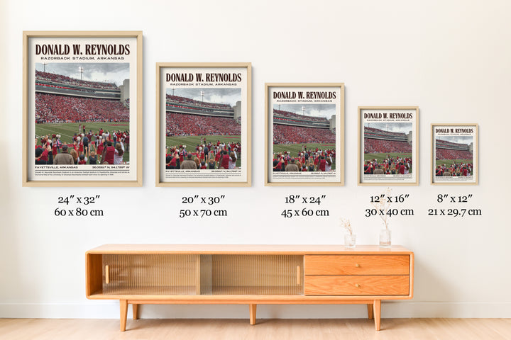 Donald W. Reynolds Razorback Stadium Football Retro Wall Art