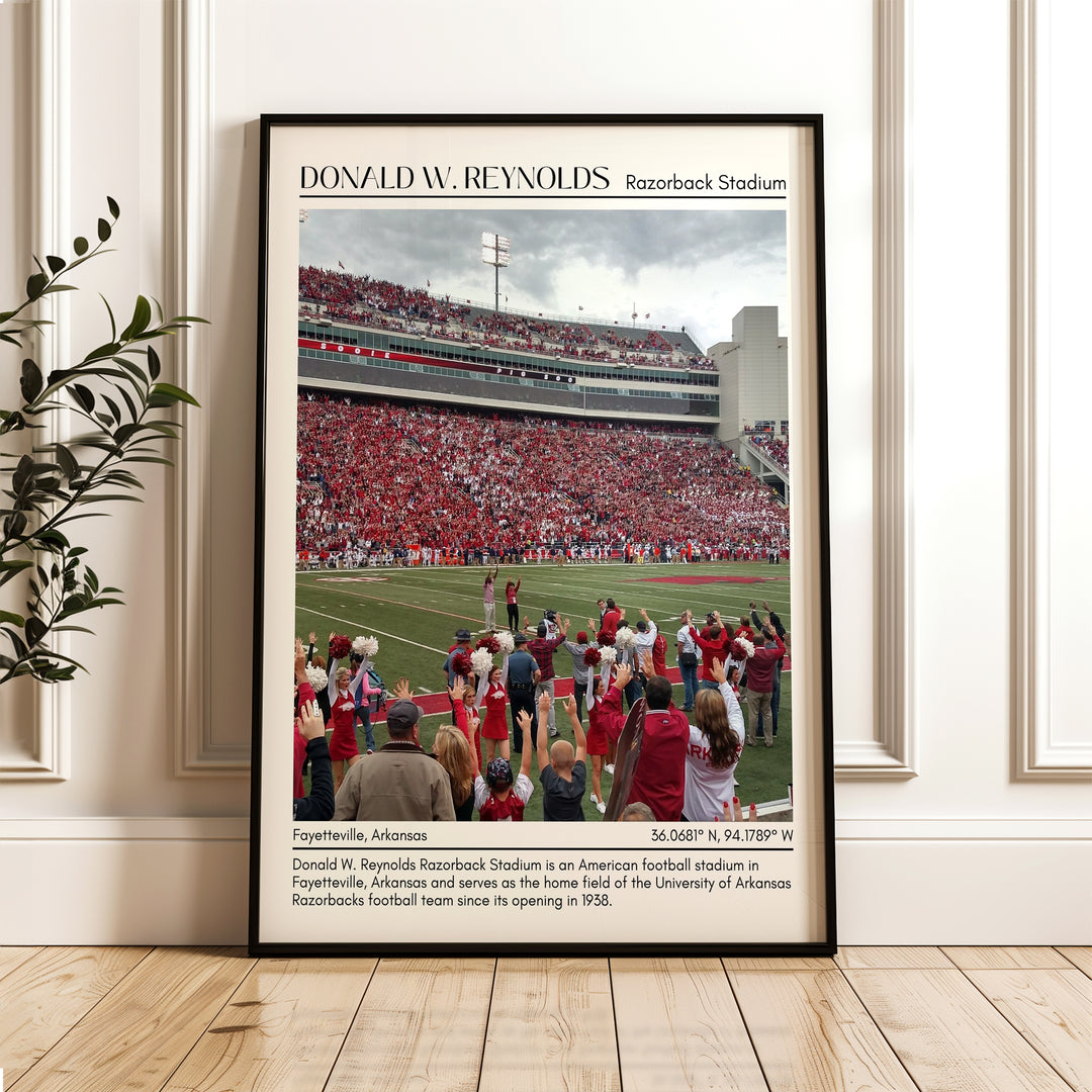 Donald W. Reynolds Razorback Stadium Football Minimal Wall Art