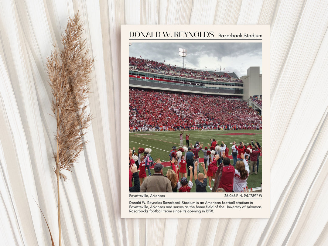 Donald W. Reynolds Razorback Stadium Football Minimal Wall Art