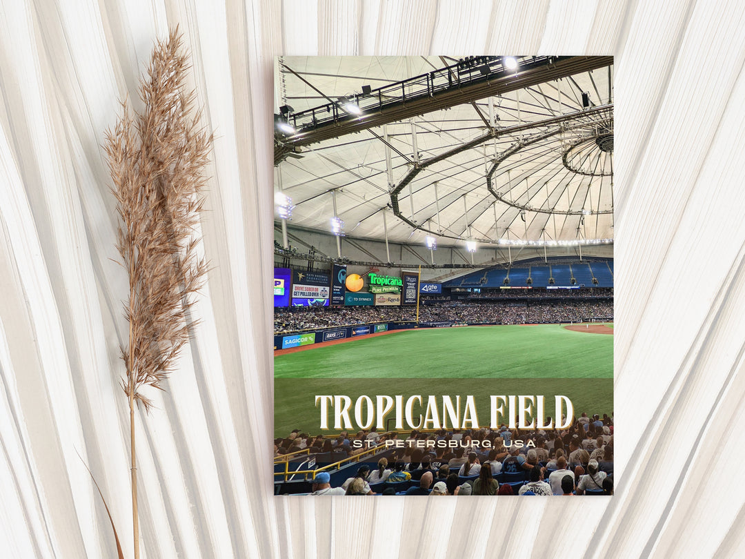 Tropicana Field Stadium Baseball Wall Art